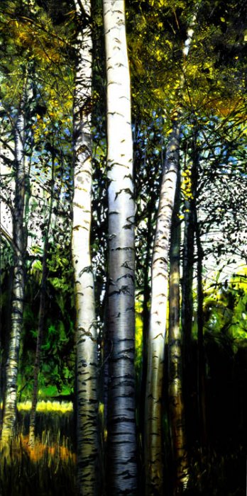 501 Sunlit Birches