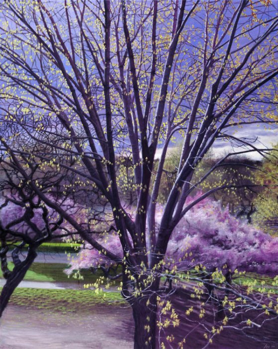 593 Springtime, Riverside Park