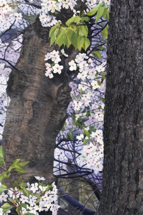 2061 Bark and Blossoms, detail