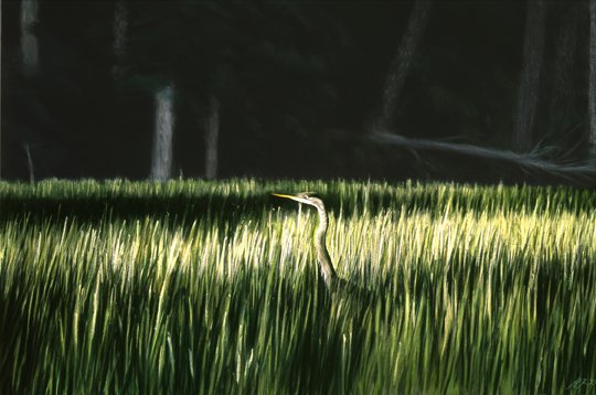 163 Hunting Heron