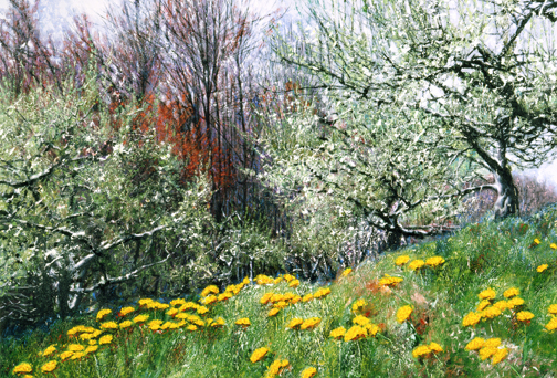 304-AppleBlossomsDandelions_1600.jpg