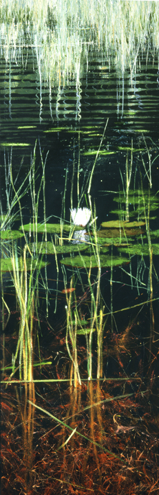 238 Long Lotus
