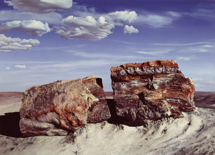 239 Petrified Wood