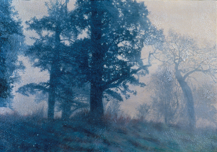 268 Scandinavian Mist