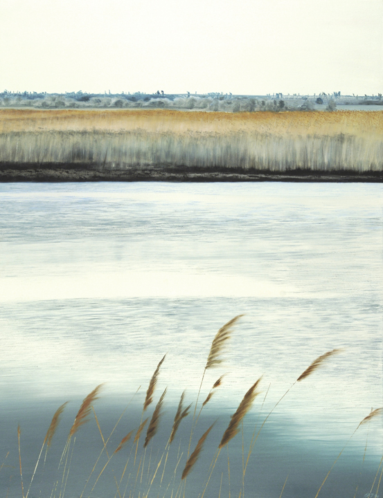 345 Winter Reeds