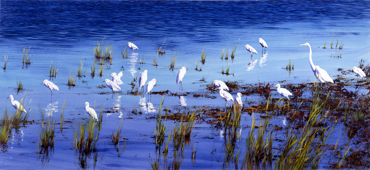 452 Herons.jpg