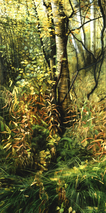 548 Autumn Sliver