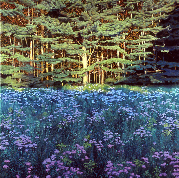 553 Shadowed Meadow, Sunlit Pines