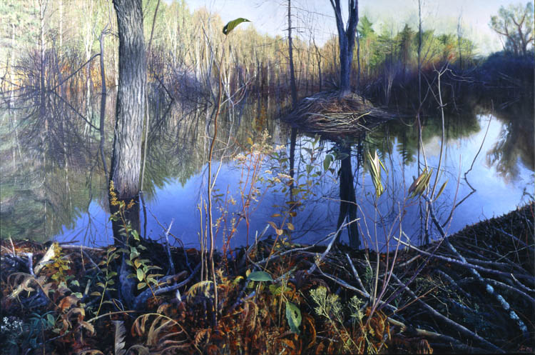 578 Beaver Pond