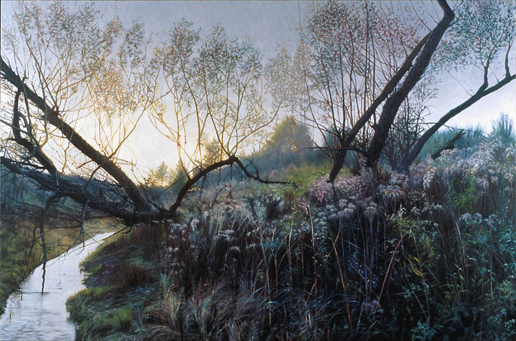 580 Fallen Willow