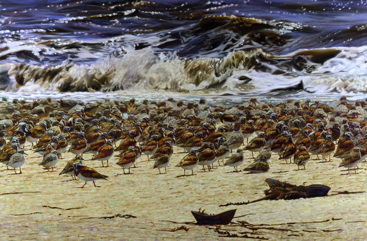 604 Spring Migration