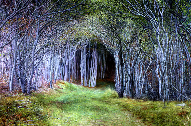 623 Into the Woods