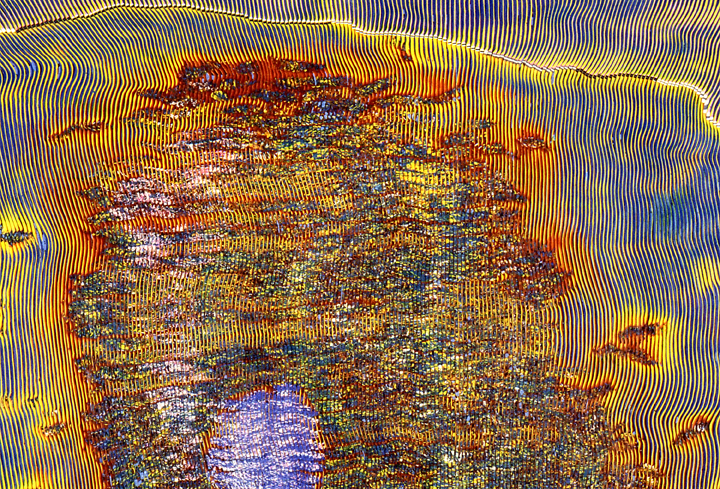 Blue Cell - detail