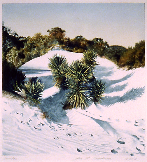 Ossabaw Bayonets