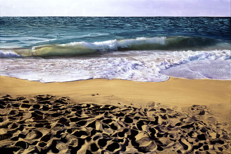 743 Race Point Surf 