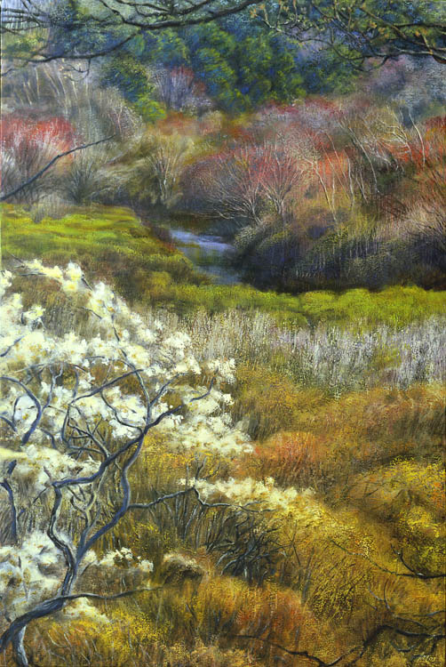770 Pamet Valley, Early Spring