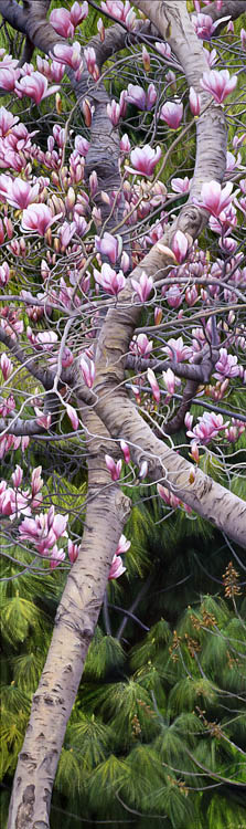 824 Magnolias & Pines #1