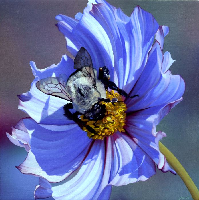 939 Pollinating Bumblebee