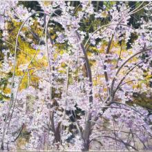 2021 Tenny (Cherry Blossoms & Forsythia).jpg