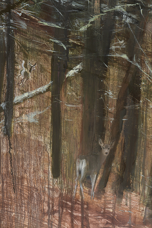 2408dtl Two Deer in the Forest