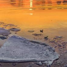 2543 Hudson River Ice Floes