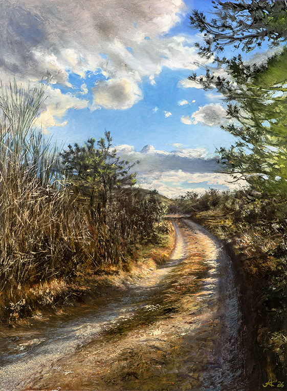 2551 Road to the Bay