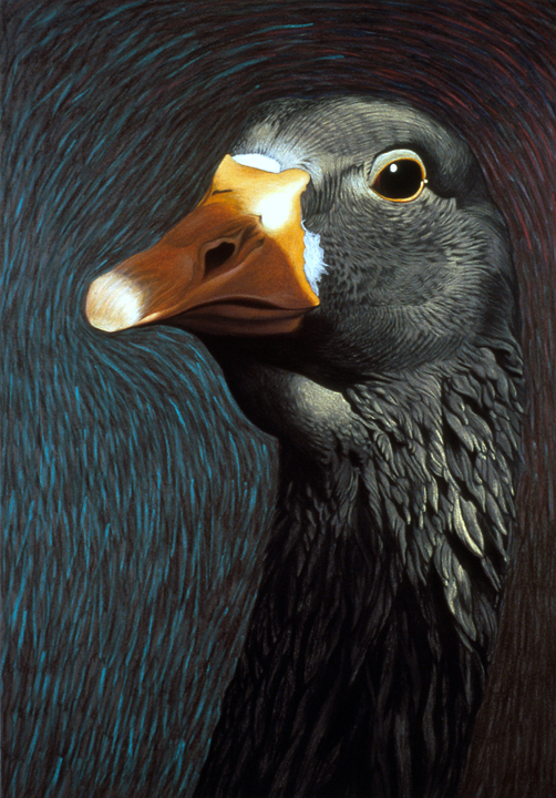 057 Big Goose