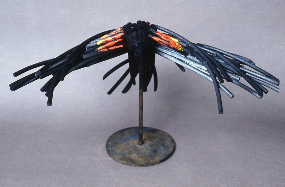 Red-Winged Charbird-3