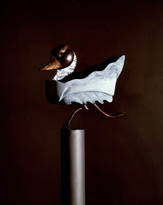 Duck