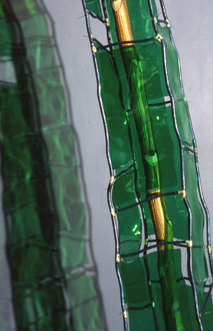 Greenhouse, detail