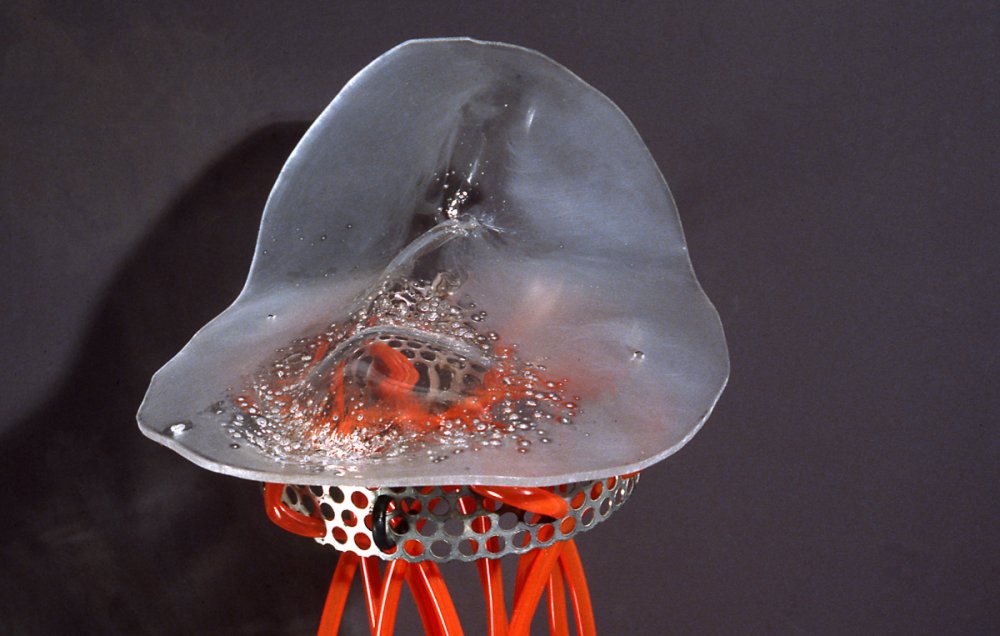Jellyfish, detail