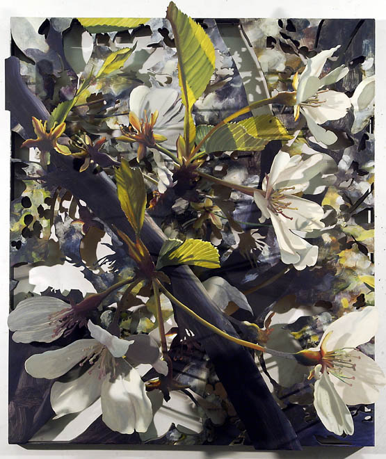 Apple Blossoms