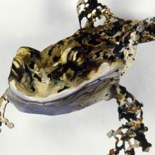 Balletic Frog, detail Balletic Frog, detail