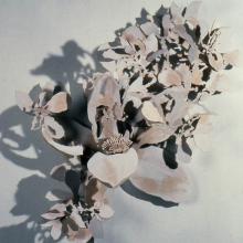 Magnolia Blossom, unpainted construction