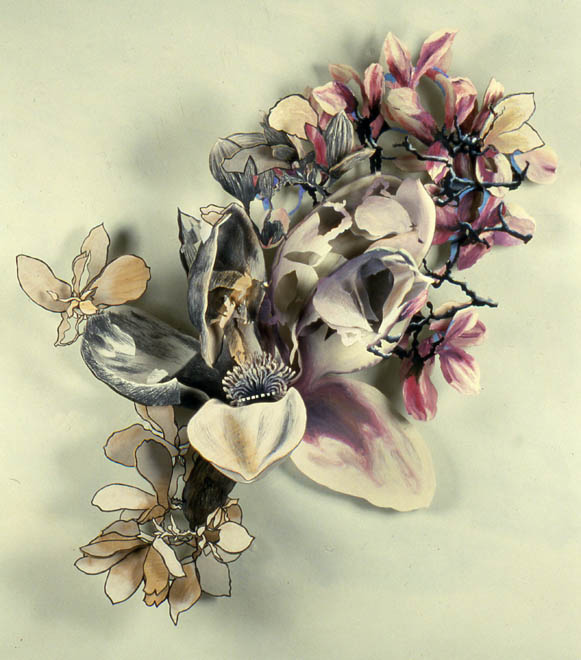 Magnolia Blossom