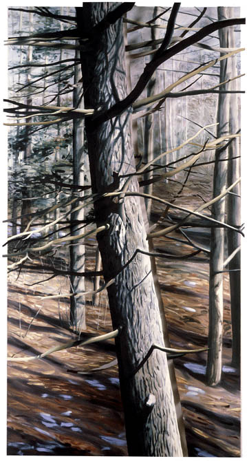 NOVEMBER WOODS