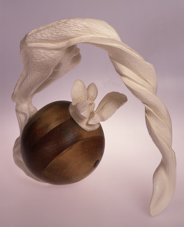 Honeysuckle Pod and Twisting Leaf-3