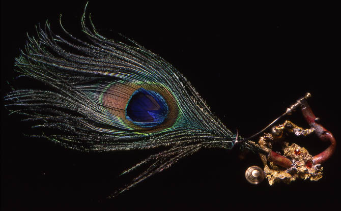 Peacock Gusher II
