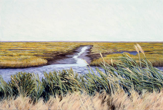 Brigantine Estuary