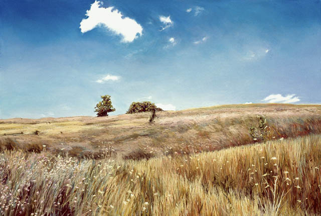 Midsummer Meadow