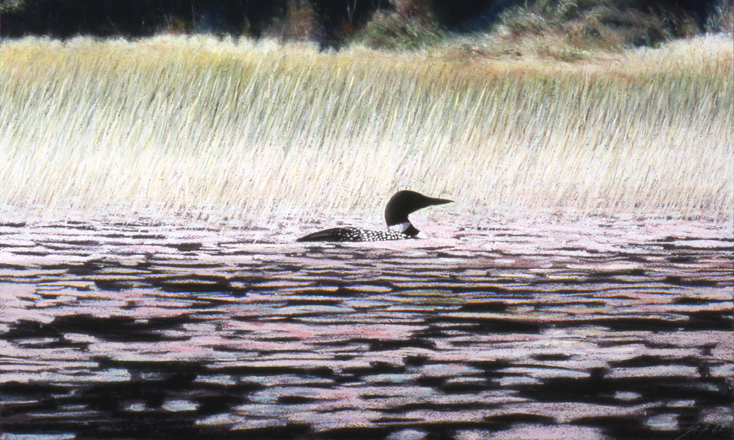 118 Loon
