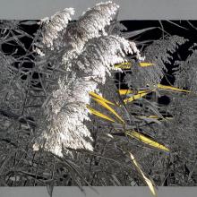 Bright Plumes & Yellow Blades Bright Plumes & Yellow Blades