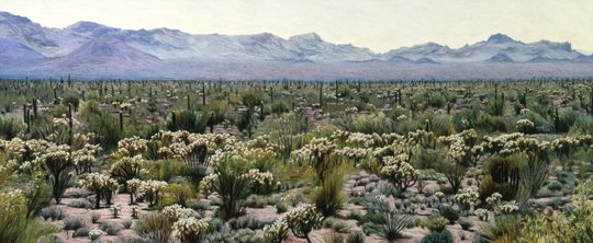 187 Sonoran Desert, Middday