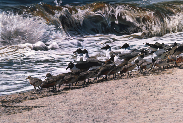 206 Beach Combers