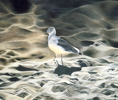 59 Sur La Plage
