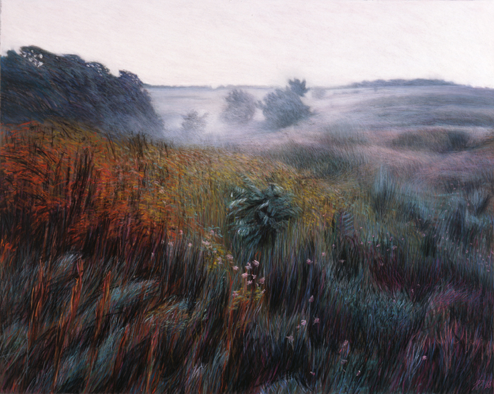 67 Evening Mist