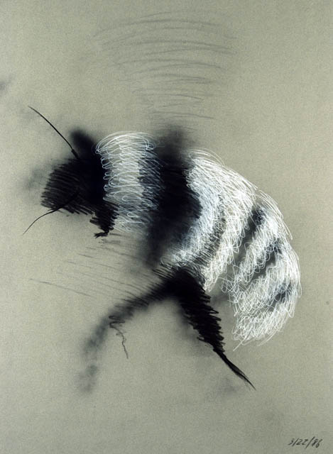 Bzzzy Bee #4
