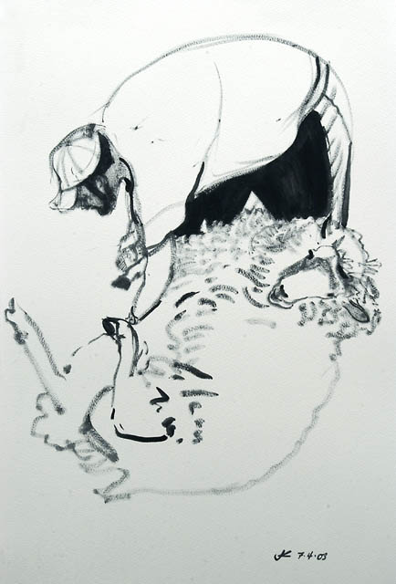 Sheep Shearing #1