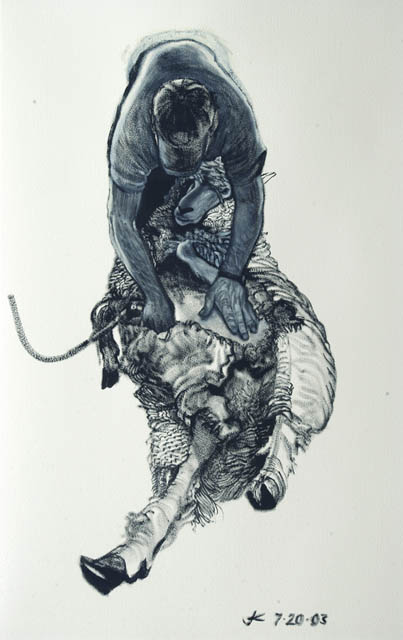 Sheep Shearing #7