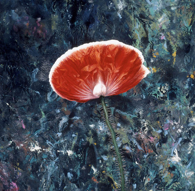 204 Botany Lesson #2, Red and White Craypaper Poppy